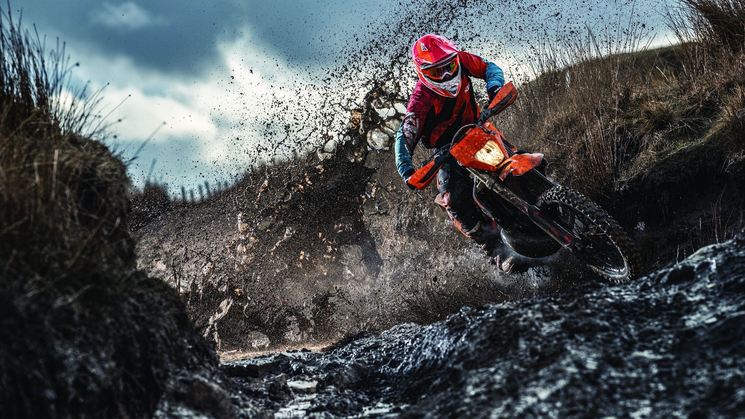 2026年世界桥牌锦标赛参赛国创历史新高